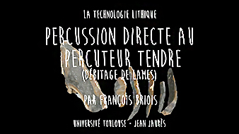 La technologie lithique. 2. Le débitage de lames par percussion directe : le percuteur tendre / François Briois