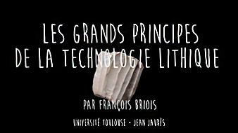 La technologie lithique : les grands principes / François Briois